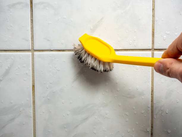 Best Mold Cleaning Services  in Macon, IL